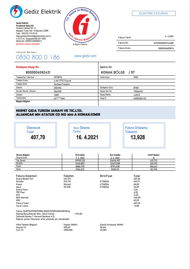 Turkey Gediz Elektrik utility bill template in Word and PDF format, fully editable